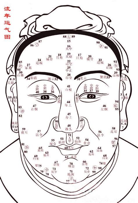 幾多歲行鼻運|1到100歲，面相流年氣運圖教你如何看自己的面相